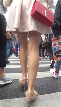 编号3652