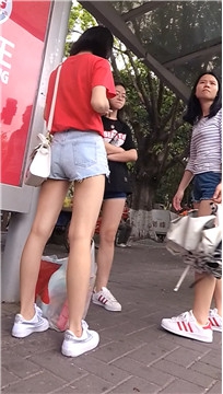 编号4473