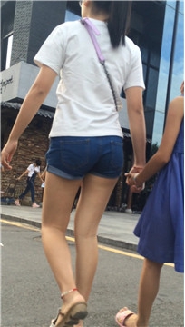 编号4445
