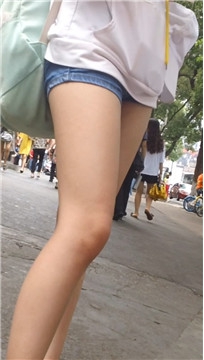 编号4055