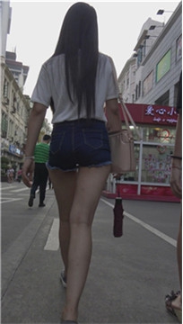 编号4455