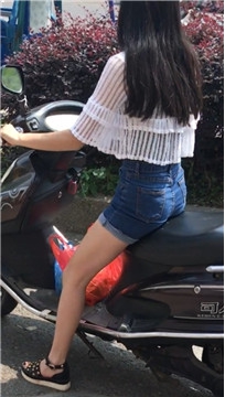 编号4080