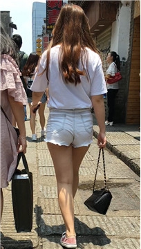 编号4161