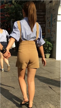 编号4135