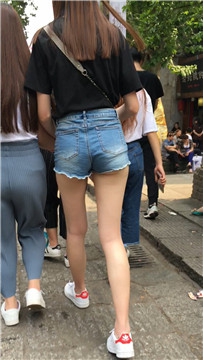 编号4113