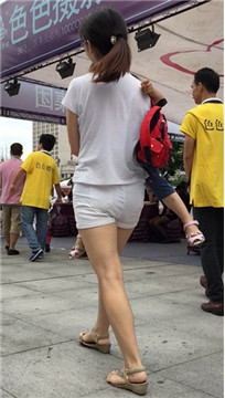 编号4208