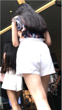 编号4051