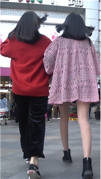 编号2055