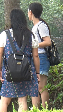 编号4278