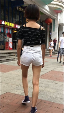 编号4206