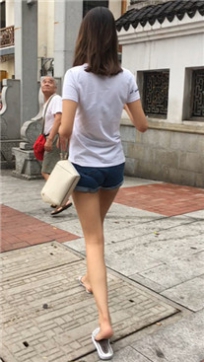 编号4235