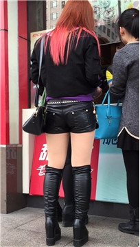 编号4286