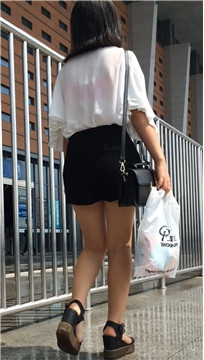 编号4341