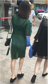 编号4081