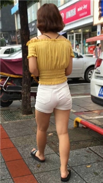 编号4239