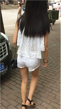 编号4091