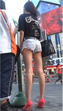 编号4403