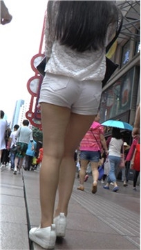 编号4262
