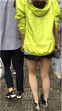 编号4079